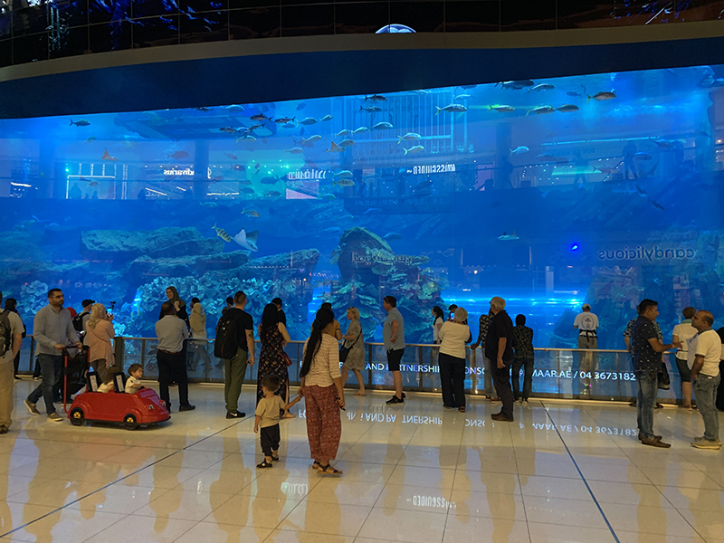 The Dubai Aquarium