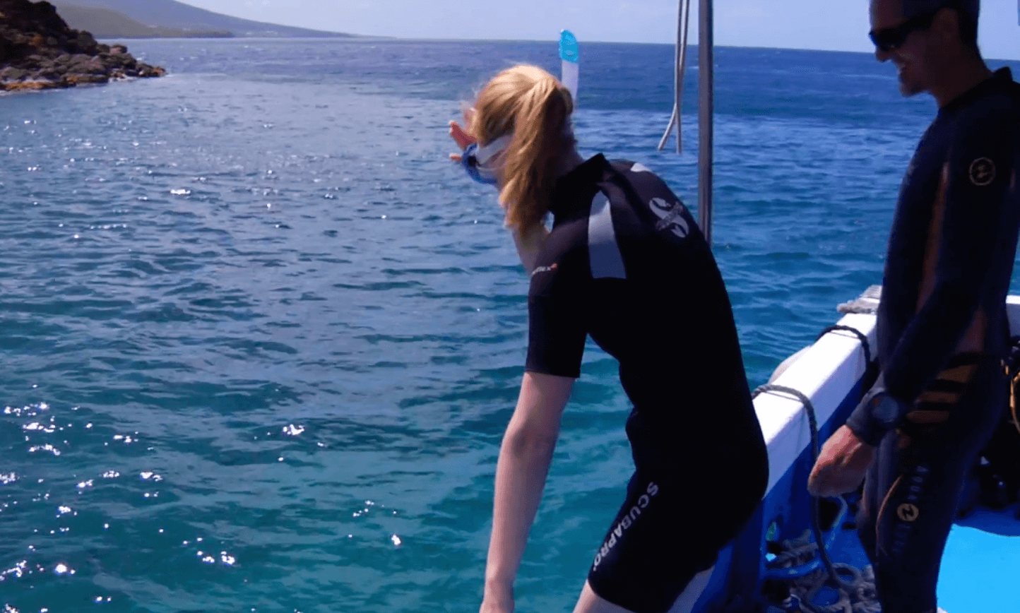 Caribbean Snorkeling in the Jacques Cousteau Reserve