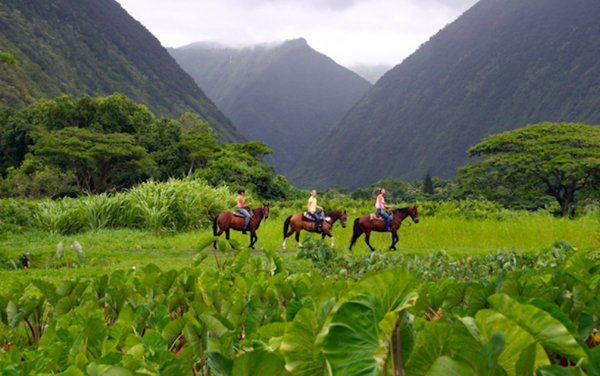 Riding horses in Waipi'o Valley on Hawaii's Big Island