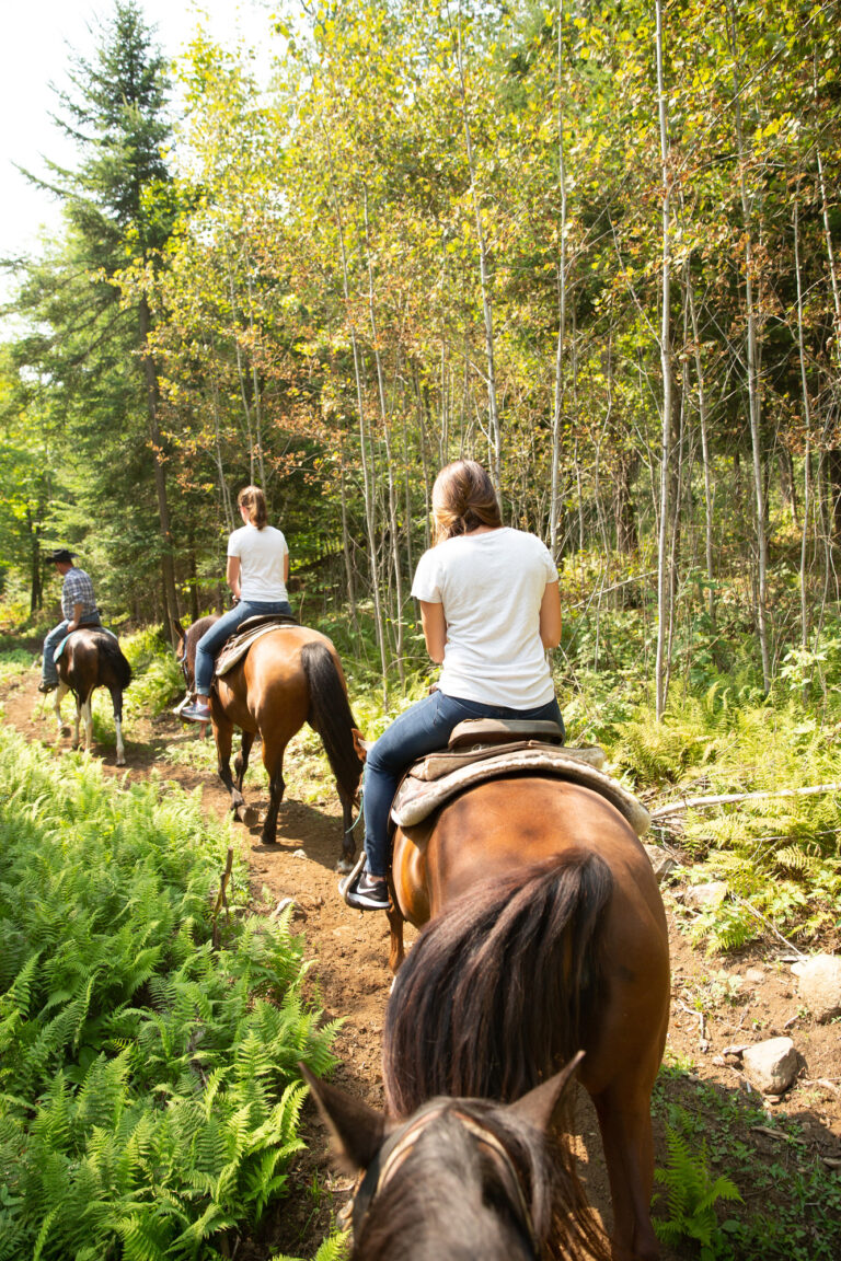 Horseback Riding in Adirondacks