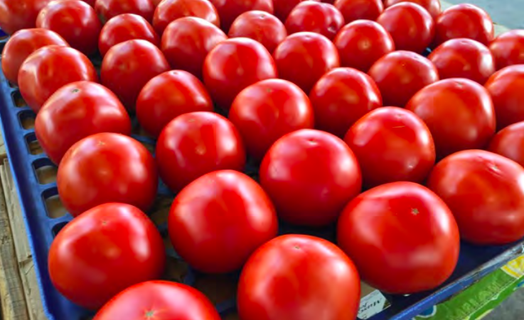 Beautiful Tomatoes at Arkansas Farmers Market