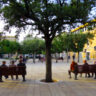 Martina Franca main square