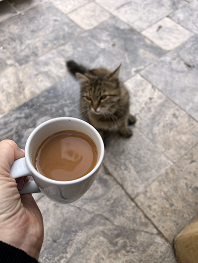 Turkish coffee with a cat friend in Cappadocia