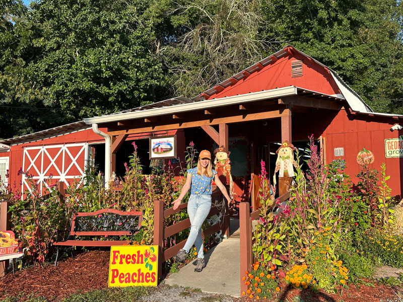 Darley Newman at Red Apple Barn in Ellijay, Georgia